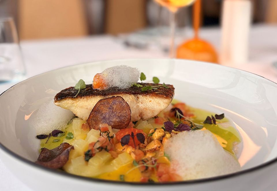Saiblingsfilet im SEASIDE des THE GRAND Ahrenshoop mit Gemüsewürfeln, Kräutern und aromatischer Sauce auf tiefem Teller.