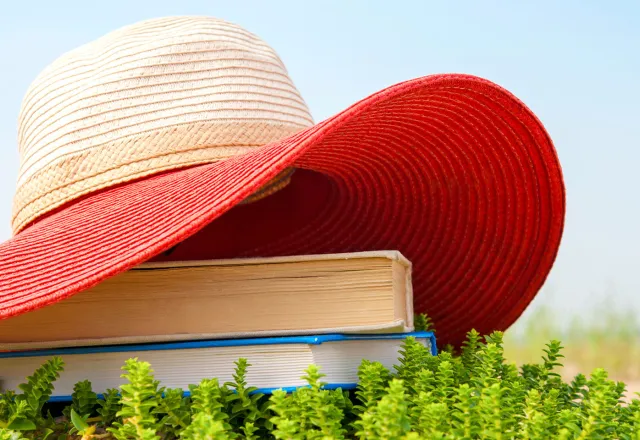 Wie wäre es mit ein wenig Heimatlektüre am Ostseestrand? © Shutterstock, AnnaElizabeth photography