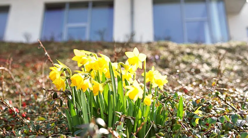 Wisst ihr schon, was ihr zu Ostern auf den Tisch bringen wollt?