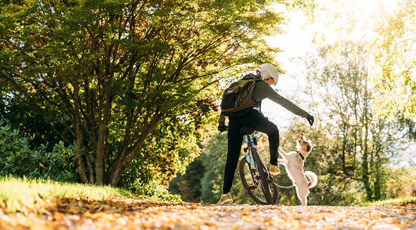 Eine Person fährt mit dem Fahrrad und spielt mit ihrem Hund, während im Hintergrund grüne Bäume und Blätter die Szenerie umrahmen.