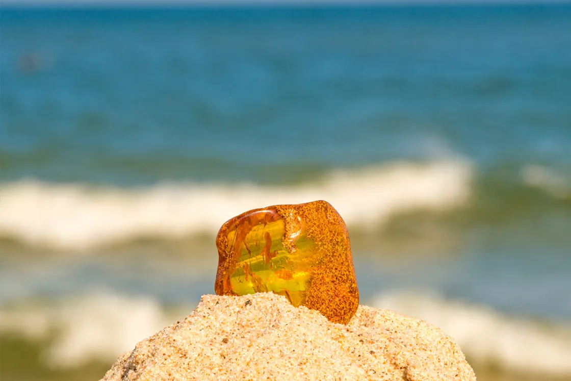 Bernstein erfreut sich großer Beliebtheit, ob als Schmuck oder Mitbringsel aus dem Ostseeurlaub. Wenn ihr Bernstein ebenfalls faszinierend findet, solltet ihr das Bernsteinmuseum in Ribnitz-Damgarten besuchen. © Shutterstock, hjochen