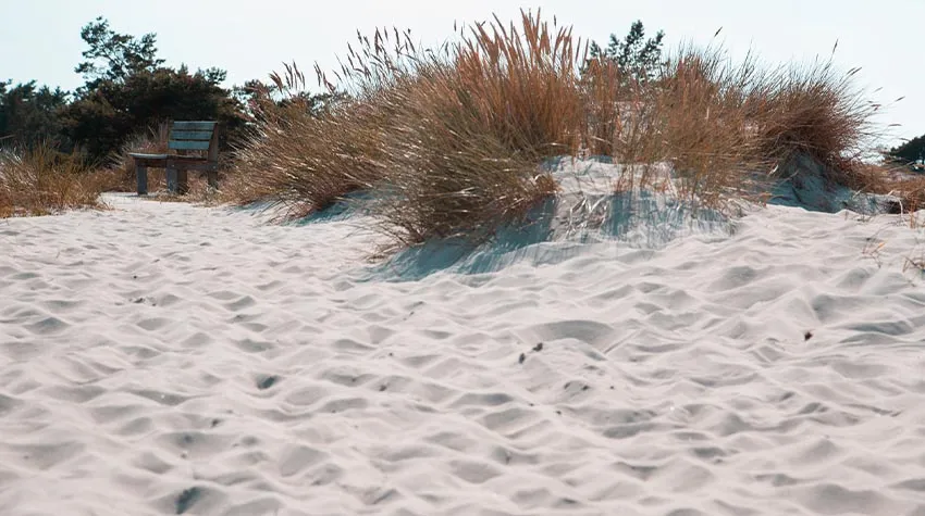 Ihr möchtet nicht nur am Strand liegen? Dann baut doch mal wieder eine Sandburg.