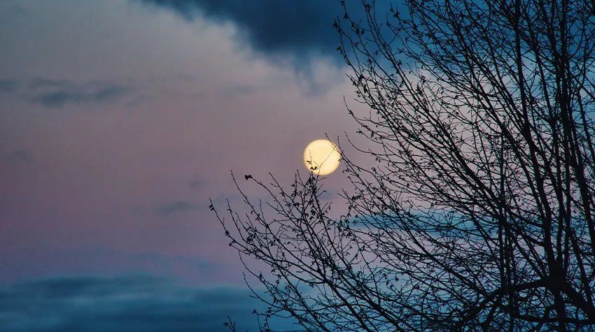 Eine Rauhnacht mit Vollmond an der Ostsee. © AdobeStock, Angelika Beck