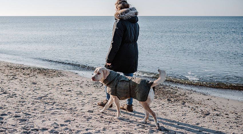 Frau spaziert mit ihrem Hund am Strand, der einen gemütlichen Hundebademantel trägt.