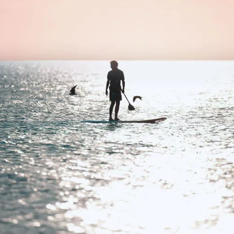 Person steht bei Sonnenuntergang auf einem SUP auf der glitzernden Ostsee in Ahrenshoop.