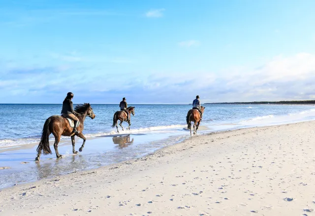 Reiten an der Ostsee