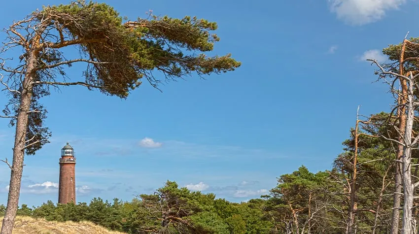 Der Leuchtturm Darßer Ort ist malerisch eingebettet in das Landschaftsbild zwischen Darßwald und Weststrand.© Shutterstock, UbjsP