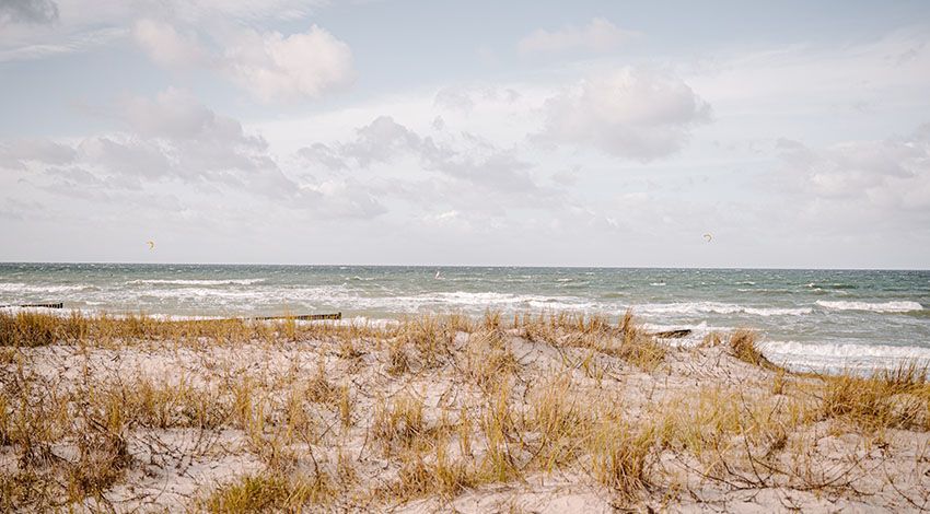 Panoramablick auf die Ostsee mit Dünen im Vordergrund.