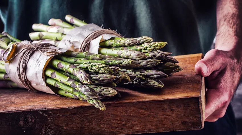 Ob grün oder weiß: Spargel ist bei vielen beliebt. © Shutterstock, Marian Weyo