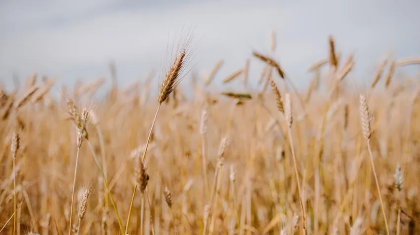 Die Landwirte haben den Nationalpark bis jetzt immer traditionell genutzt. Die Erhaltung der ökologischen Vielfalt ist dabei jedoch von größter Bedeutung.