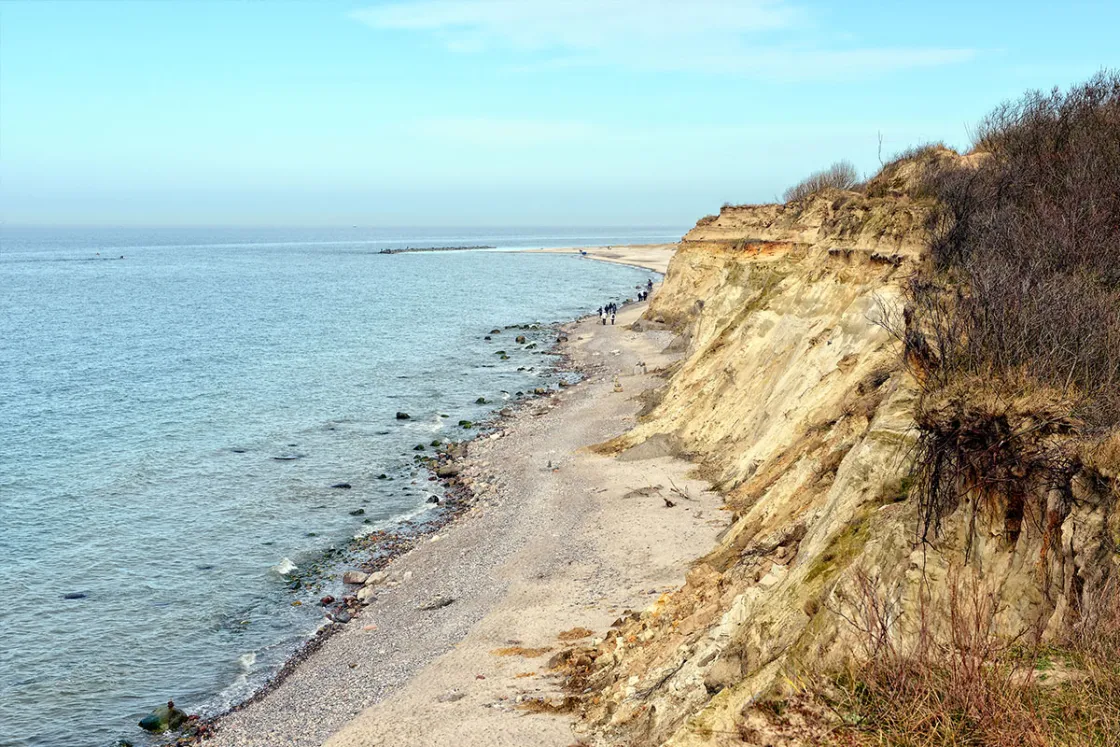 Natur pur: Bei eurem Ostseeurlaub in Ahrenshoop könnt ihr so richtig die Seele baumeln lassen. © Shutterstock, lcrms