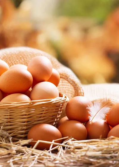 Am 14. Oktober ist Welt-Ei-Tag. © Shutterstock, Nitr