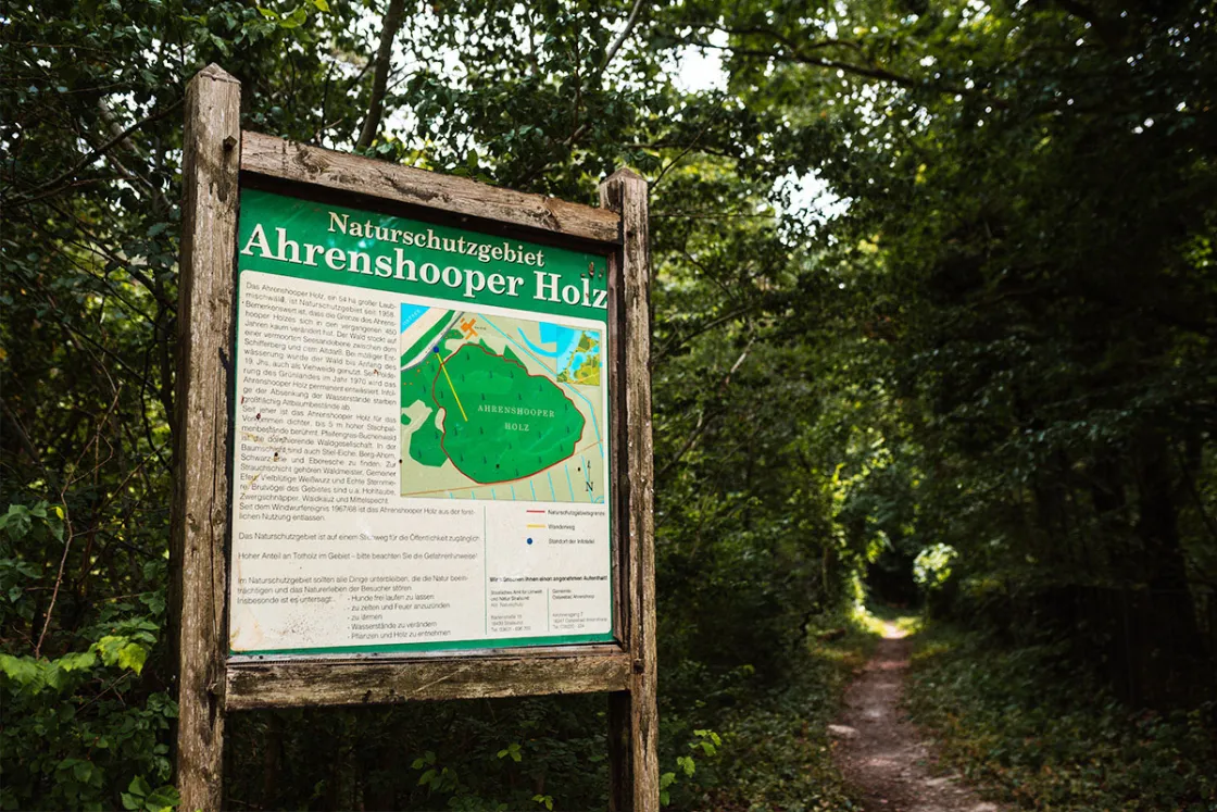 Du gehst gerne Spazieren uns liebst die frische Luft? Wie wäre es dann mit einem erholsamen Waldspaziergang im wunderschönen Ahrenshooper Holz?