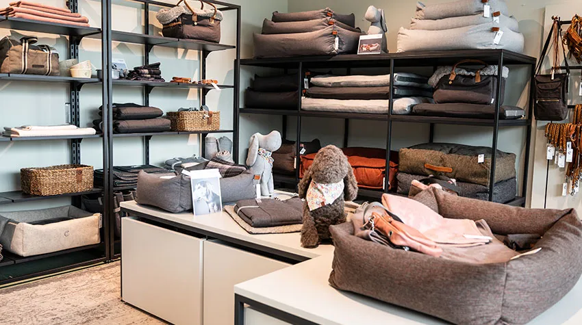 Von Hundebetten über Leinen bis hin zu Näpfen findet ihr im Cloud7-Store alles, was das (Hunde-)herz begehrt.© Cloud7