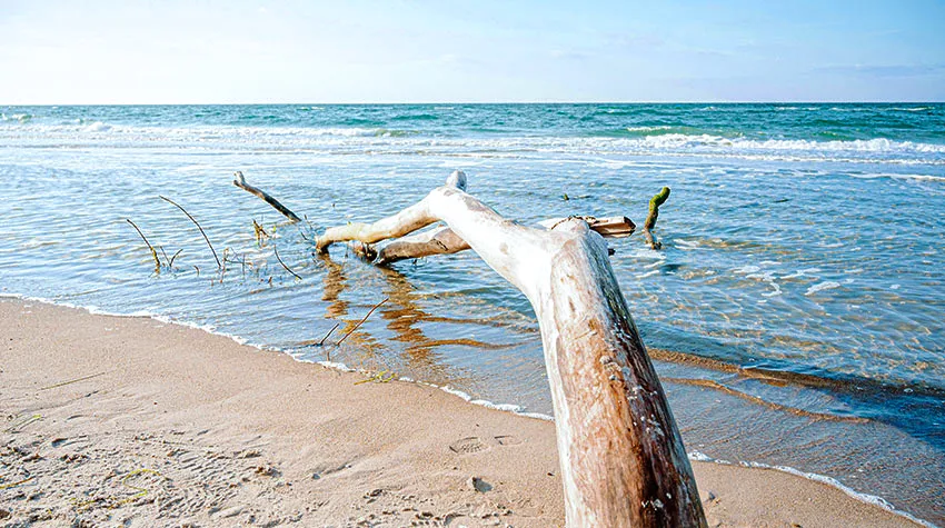 Von der Küsten- bis zur Brandungsströmung: Die Ostsee ist immer in Bewegung.