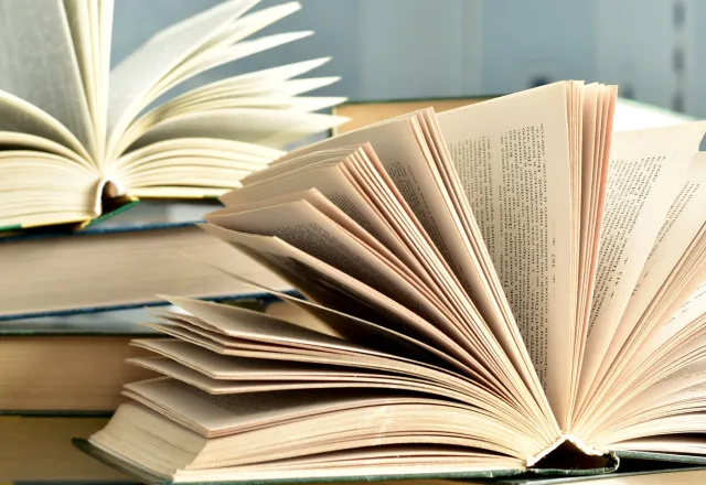 Ahrenshoop bietet für Literaturliebhaber viele verschiedene spannende Möglichkeiten. © Shutterstock, vagonik