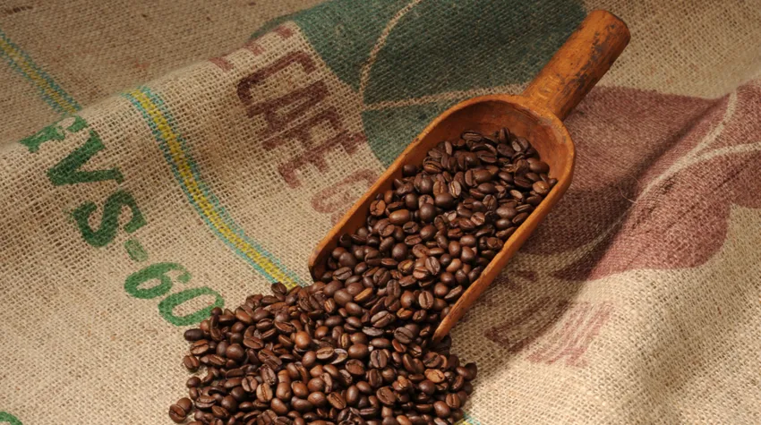 Jedes Jahr am 1. Oktober wird der Tag des Kaffees gefeiert. © Adobe Stock© Adobe Stock, Stefan Thiermayer