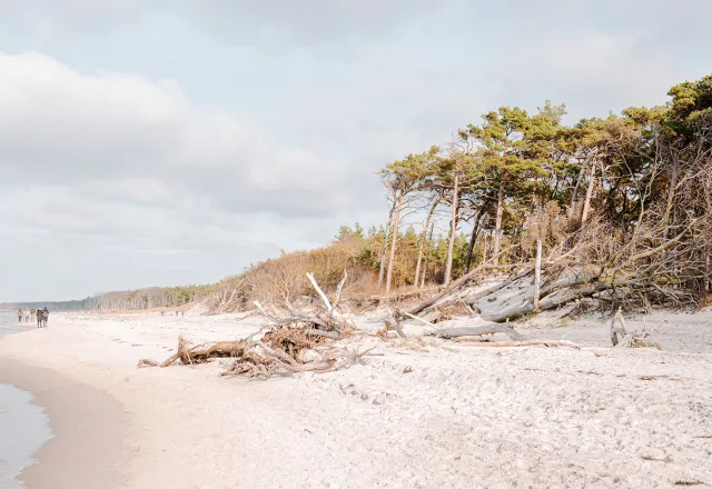 Nicht umsonst wurde der Weststrand vom Fernsehsender Arte zu einem der schönsten Strände der Welt erklärt.