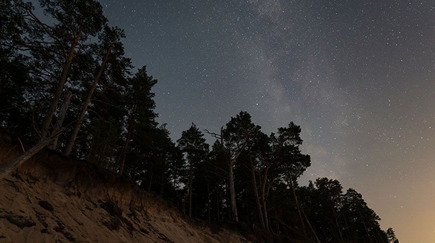 Sternenklarer Himmel über einer bewaldeten Steilküste an der Ostsee bei Nacht.