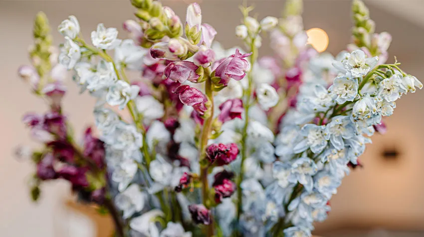 Blumen als Mitbringsel? Das geht immer!