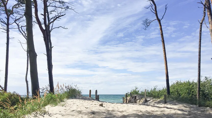 Am Weststrand könnt ihr kilometerweit entlang gehen und braucht dabei weder euer Smartphone noch Laptop. 