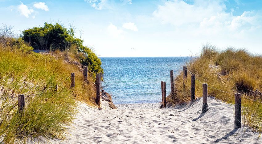 Sandiger Pfad durch Dünen mit Strandhafer, der zum ruhigen Meer führt, unter einem leicht bewölkten, blauen Himmel.