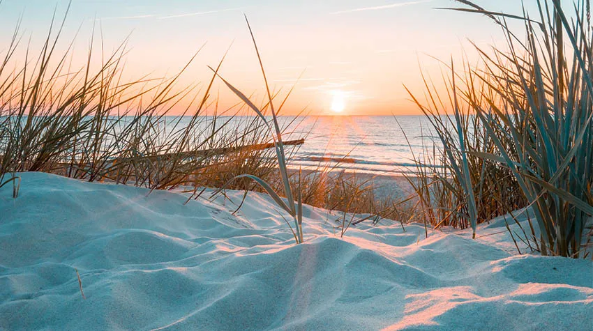 Wir möchten die wunderschöne Natur der Ostsee erhalten.