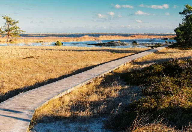 © Shutterstock, Pilguj