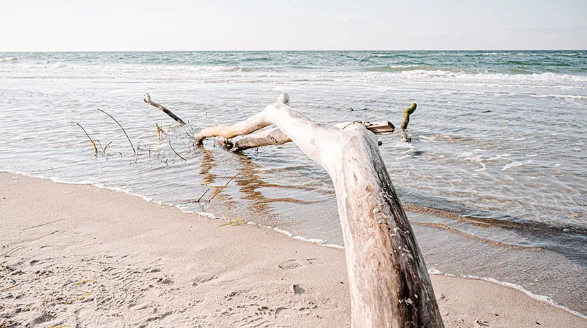 Einmal abtauchen: Ein Bad in der Ostsee ist erfrischend und macht Spaß.