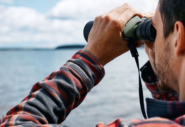 Vögel in Deutschland beobachten? Auf nach Fischland-Darß-Zingst!