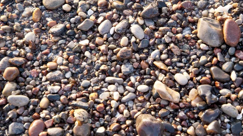 Lust, in Ahrenshoop auf Stein- und Muschelsuche zu gehen? © Shutterstock, Greens and Blues