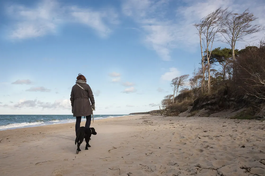 Das Gute an einem Herbsturlaub an der Ostsee: Ihr könnt alle Strände mit eurem Hund besuchen. © Shutterstock, MRo