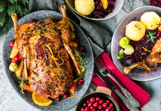 Wisst ihr schon, welches Weihnachtsessen dieses Jahr bei euch auf den Tisch kommt? Unser Vorschlag: ein leckerer Gänsebraten. Bei uns erfahrt ihr alles über die Tradition und Geschichte der Weihnachtsgans. Außerdem haben wir da noch einen ganz heißen Tipp für euch. © Shutterstock; KarepaStock