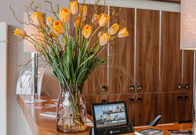 Bald ist es soweit: Im Frühling blühen die Tulpen wieder. © Max Framke