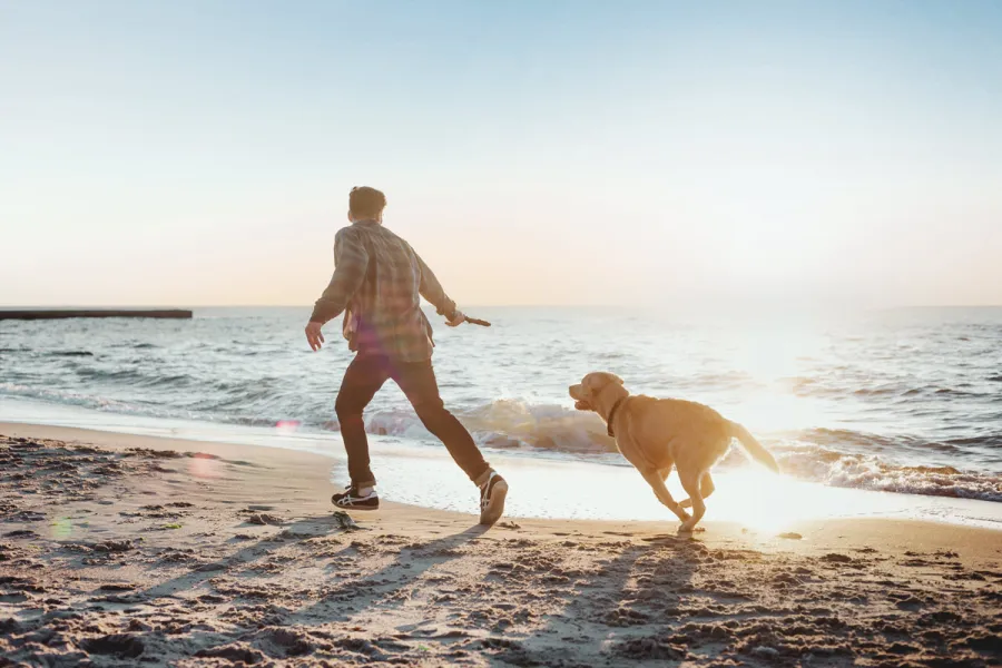 Mensch läuft mit Hund am Ostseestrand bei Ahrenshoop in der Abendsonne.