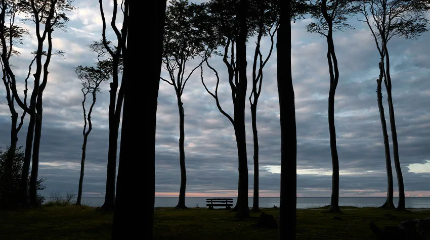 Was hat der Herbstblues mit der dunklen Jahreszeit zu tun? © Shutterstock, Bernd Meissner