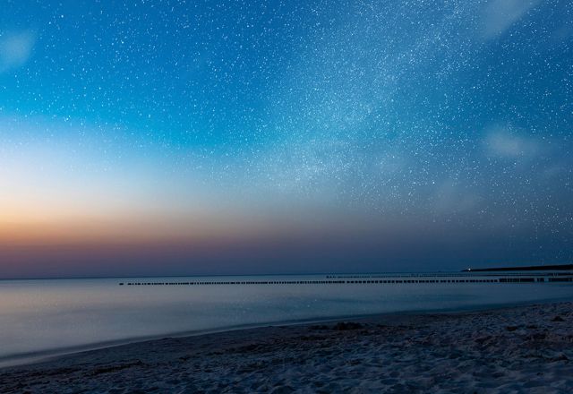 Unter Sternen und Baumwipfeln: Eine Nachtwanderung an der Ostsee