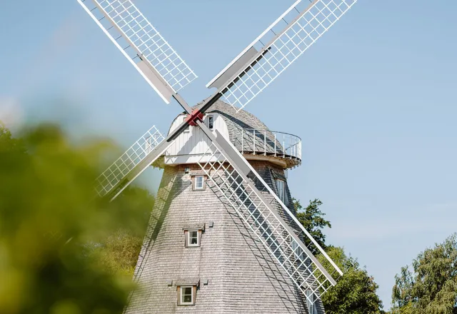 Du findest auch, dass Kaffee und Kunst gut zusammen passen? Dann solltest du der Mühle Ahrenshoop unbedingt einmal einen Besuch abstatten.