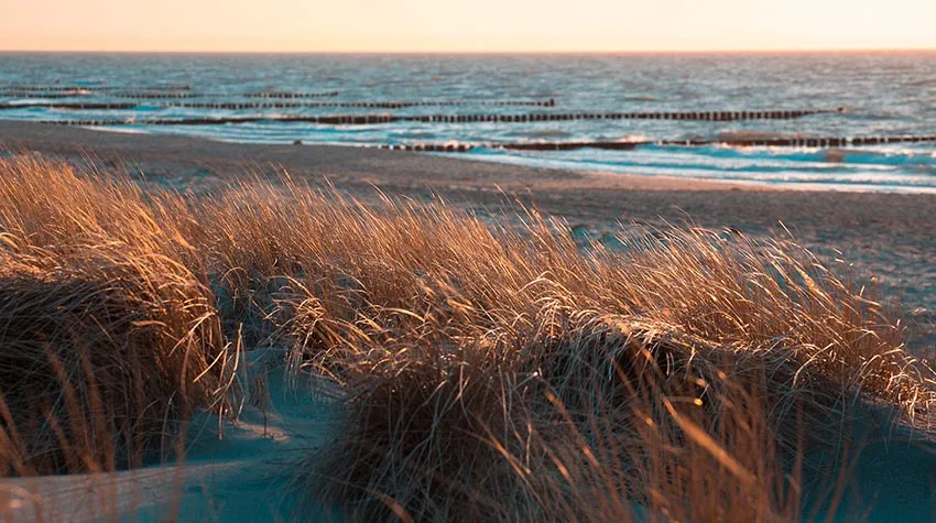 Ostseeurlaub auf Fischland-Darß-Zingst kann so gestaltet werden, wie ihr möchtet, ob aktiv oder entspannend.