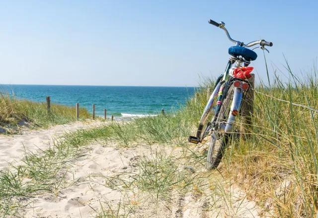 Genießt zusammen die frische Ostseebrise und die herrlichen Landschaften. © Shutterstock, ThomBal