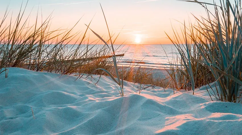 Durch nachhaltiges Wirtschaften schützen wir unsere geliebte Ostsee.