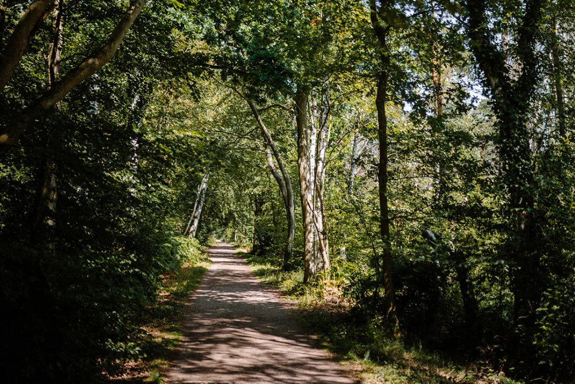 Du suchst Ruhe und Entspannung? Dann wirst du den Nationalpark Vorpommersche Boddenlandschaft lieben. Dieser ist an Friedlichkeit und landschaftlicher Vielfalt kaum zu überbieten.
