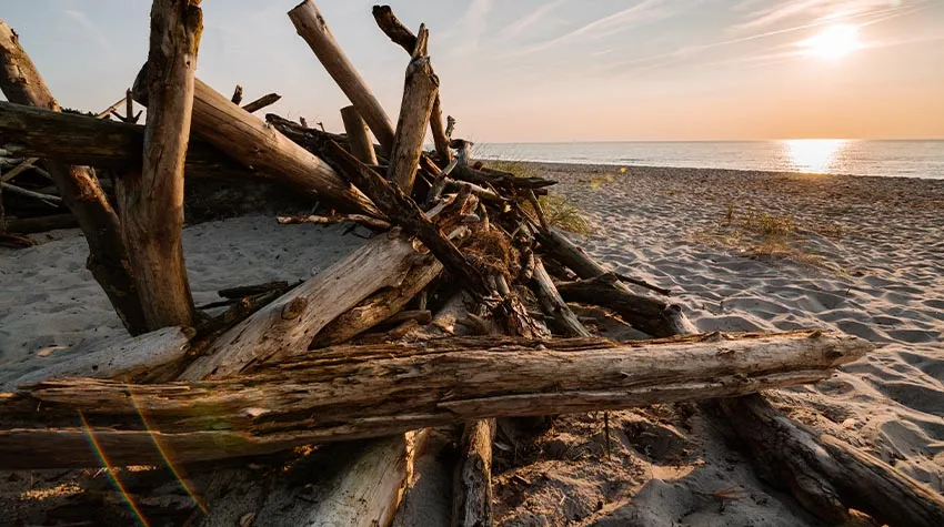 Beim Wandern am Strand lassen sich zahlreiche tolle Dinge entdecken.