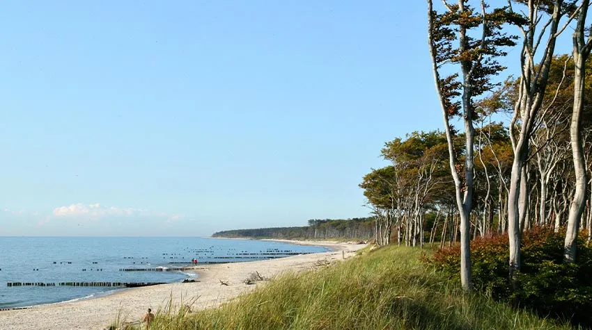 Meer oder Wasser? Bei uns auf Fischland-Darß-Zingst müsst ihr euch nicht entscheiden.