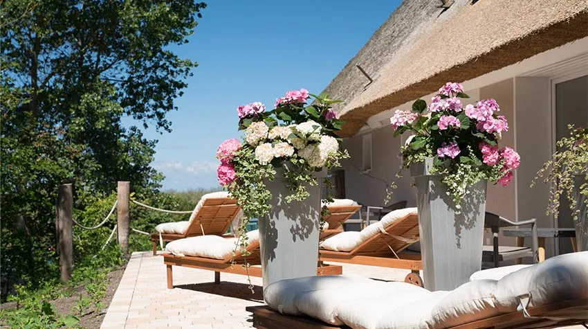 Die Sonnenstrahlen auf der gemütlichen Terrasse des Zimmers "Petterson" einfangen.