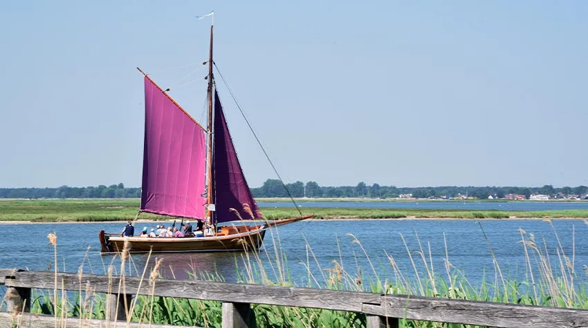 Durch den Schutz vor Wind und Wetter erhalten die Zeesboote ihre Farbe. © Shutterstock, dba duplessis