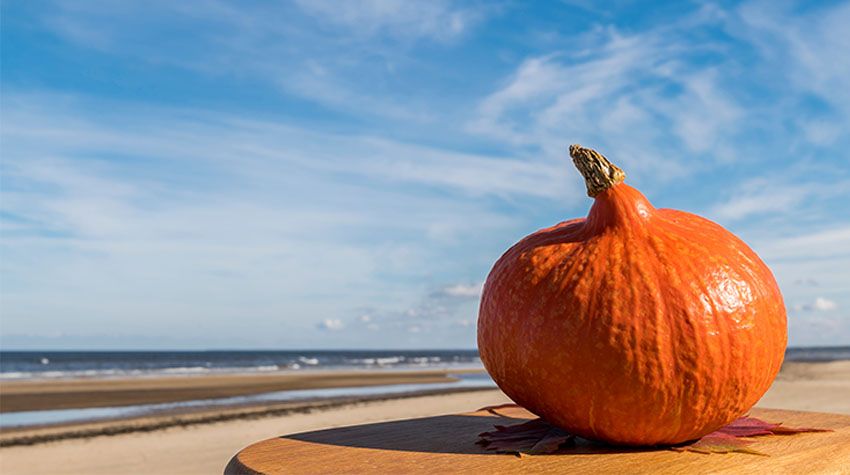 Leuchtend orangefarbener Kürbis auf einem Holztisch am Ostseestrand unter blauem Himmel.