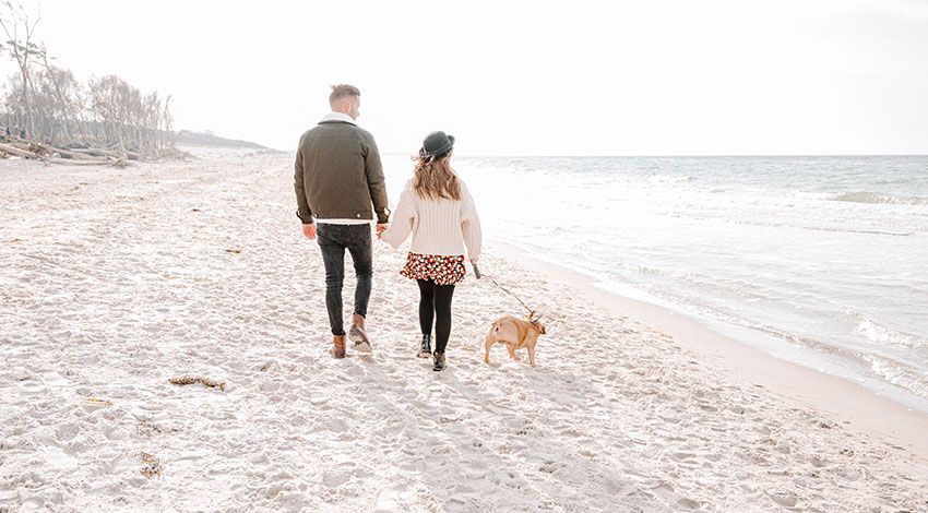Ein Mann und eine Frau laufen Hand in Hand am Wasser entlang. An der Leine ein kleiner brauner Hund.