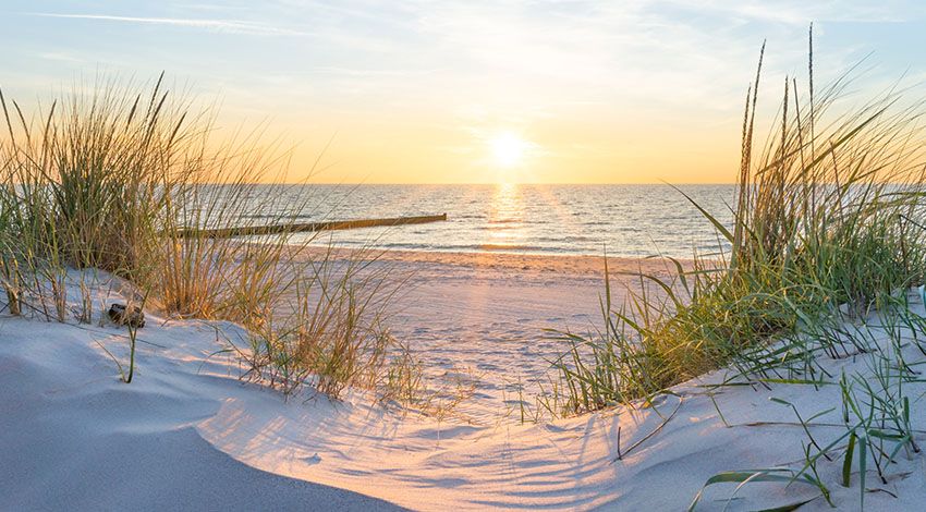 Ein idyllischer Ostseestrand mit feinem Sand, sanften Wellen und einem klaren, blauen Himmel im Hintergrund.