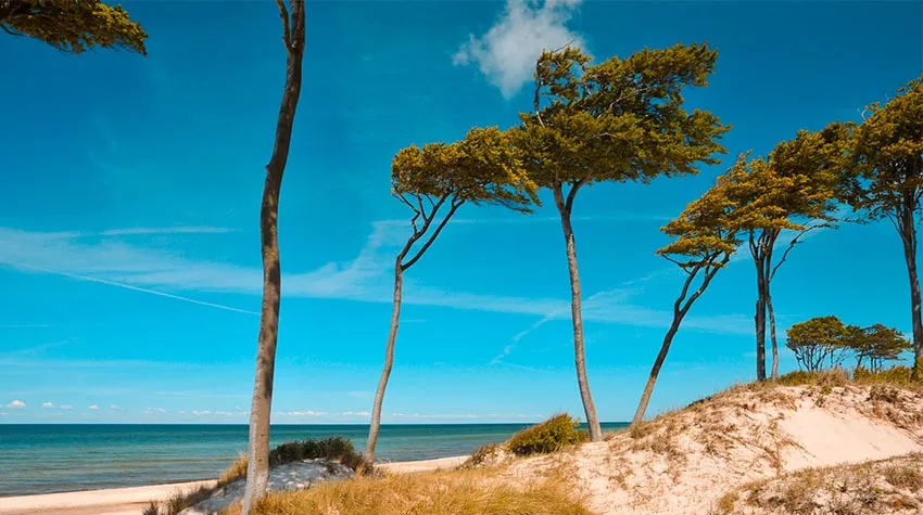 Besucht uns doch einfach selbst und entdeckt die wunderschöne Natur von Ahrenshoop.